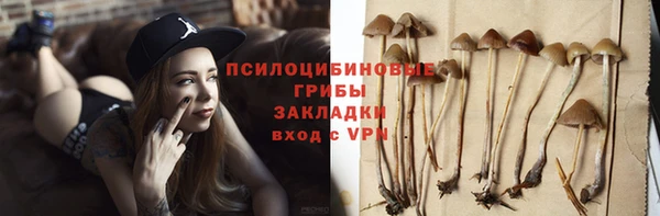 МДПВ Алексин